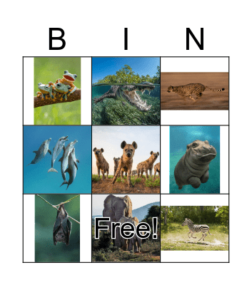 wild animals Bingo Card