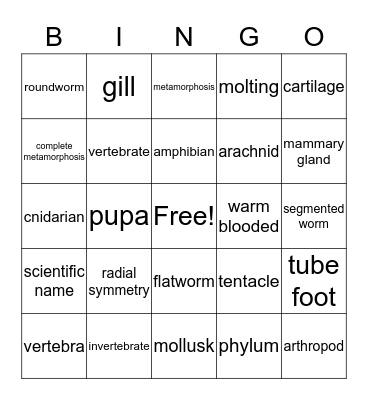 Classifying Animals Bingo Card