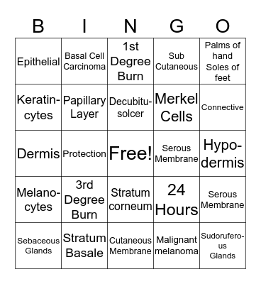 Chapter 3 BINGO Review Game Bingo Card