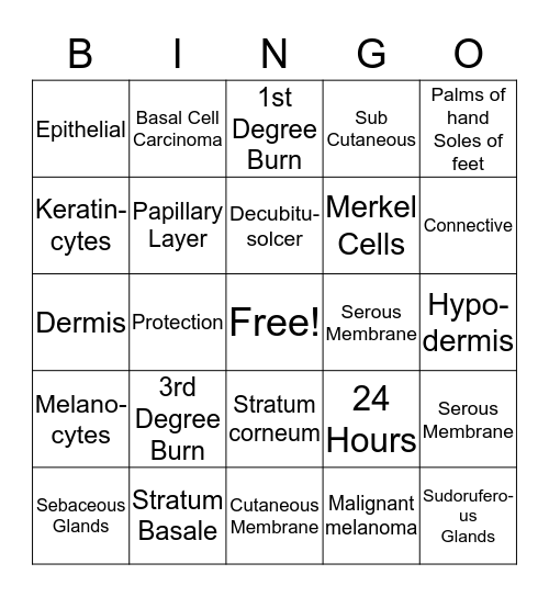 Chapter 3 BINGO Review Game Bingo Card