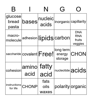 Macromolecule/Water Properties Bingo Card