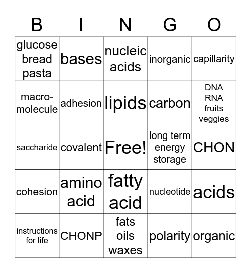 Macromolecule/Water Properties Bingo Card
