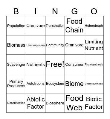 Biology Chapter 3 Bingo Card