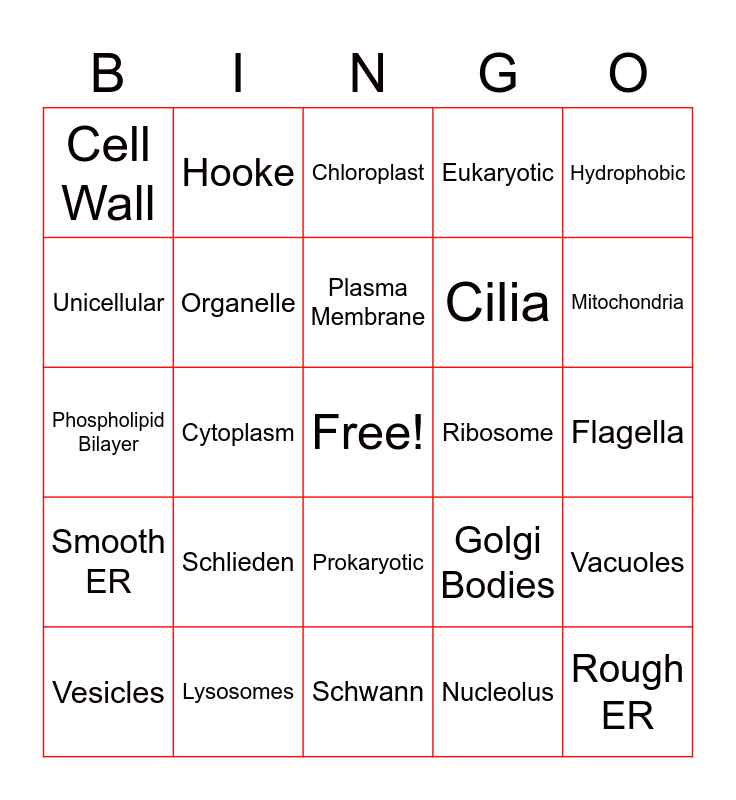 Cell Structure Bingo Card