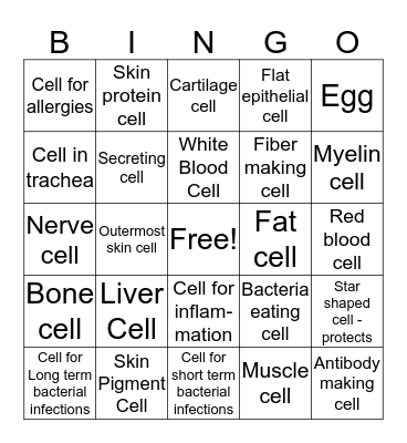 Types of Cells Bingo Card
