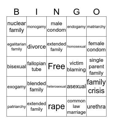 Condom Bingo Card