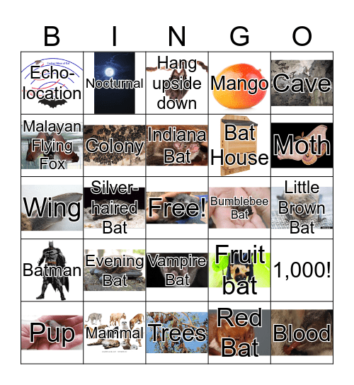 BAT BINGO! Bingo Card