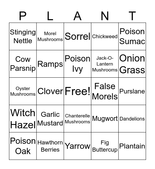 PLANTS Bingo Card