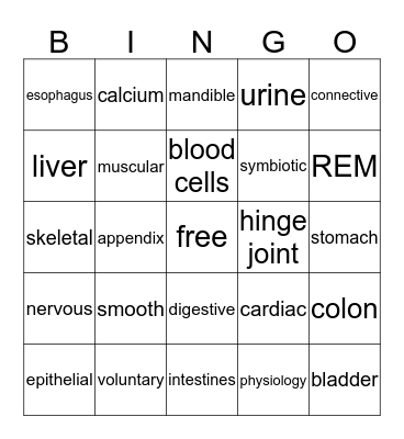 Anatomy and Physiology Review Bingo Card