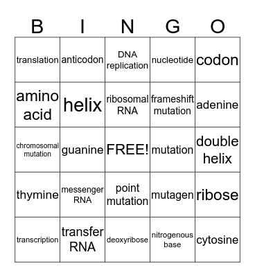 Ch. 11 Vocabulary Bingo Card