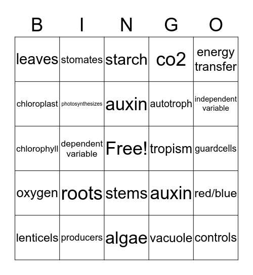 Plants Bingo Card