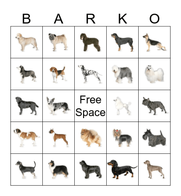Marley and Me Bingo Card
