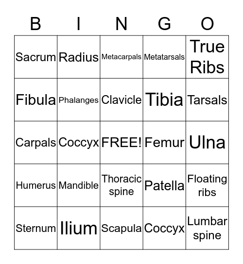 Skeleton Bingo Card