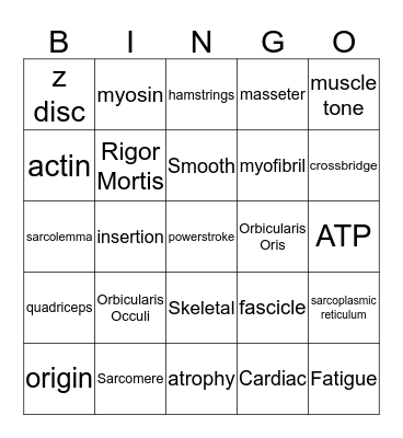 Muscular System Bingo Card