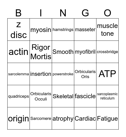 Muscular System Bingo Card