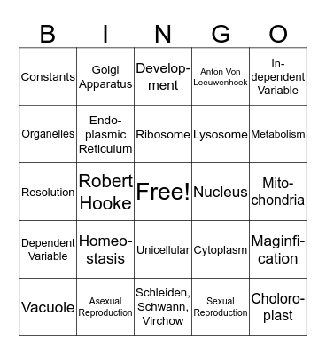 Unit 1 Bingo Card