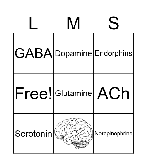 Neurotransmitter Review Bingo Card