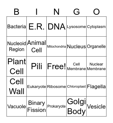 Cells Bingo Card