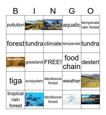 ROOMS 908/907 Bingo Card