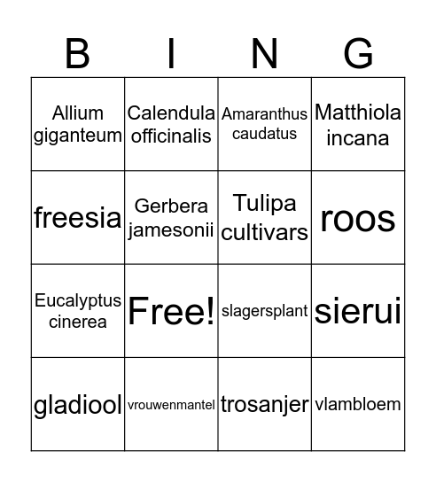 Sortimentskennis Bingo Card