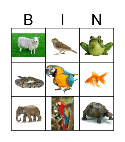 dieren Bingo Card