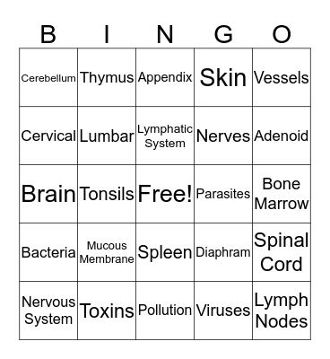 Nervous / Lymphatic & Immune System  Bingo Card