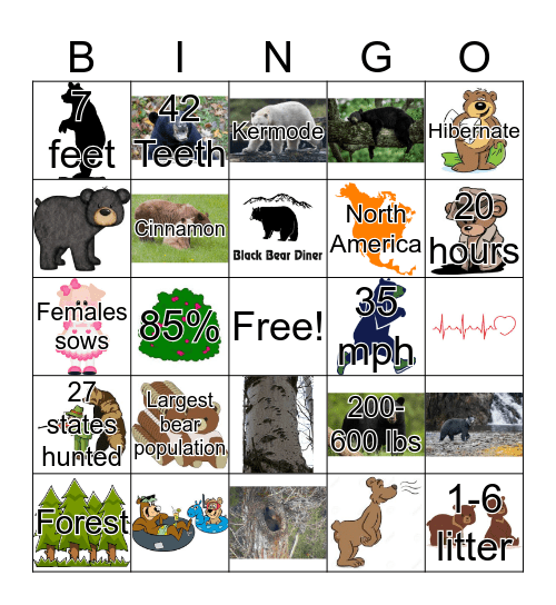 Black Bear Bingo  Bingo Card