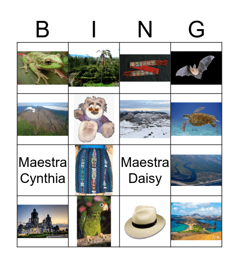 Temporadas (Seasons) in Ecuador! (Featuring Review!) Bingo Card