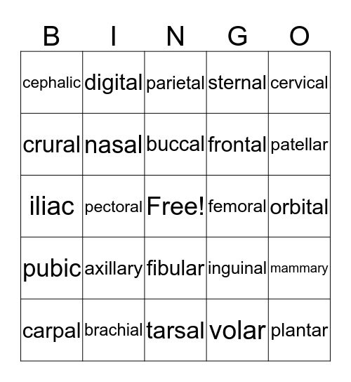Med Term- Body Landmarks Bingo Card