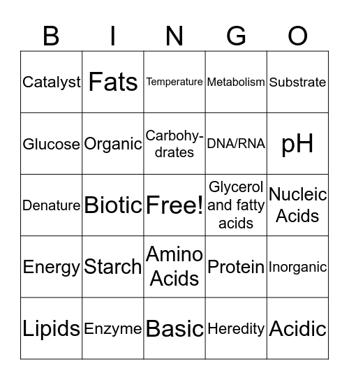 Macromolecules + Enzymes Bingo Card