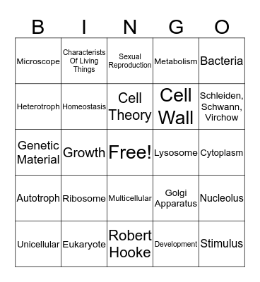 Unit 1 Bingo Card