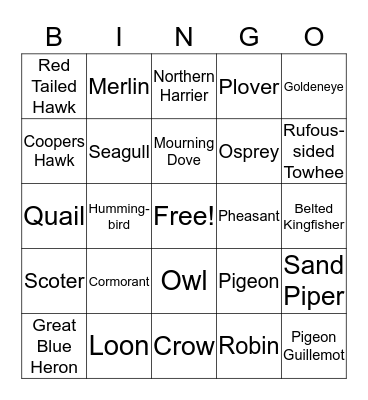 Whidbey Island Bird Bingo Card