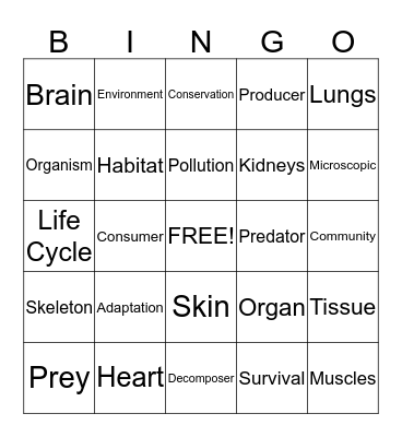 Quarter 2: Human Body, Survival, and Adaptation Bingo Card