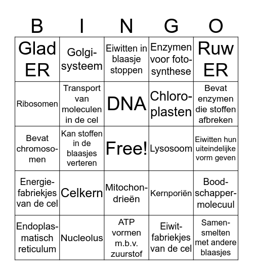 Organellen Bingo Card