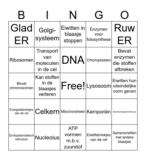 Organellen Bingo Card