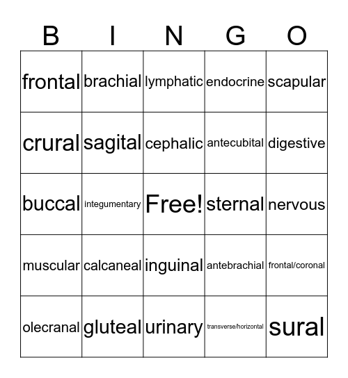 Human Biology Body Systems and Intro Terminology Bingo Card