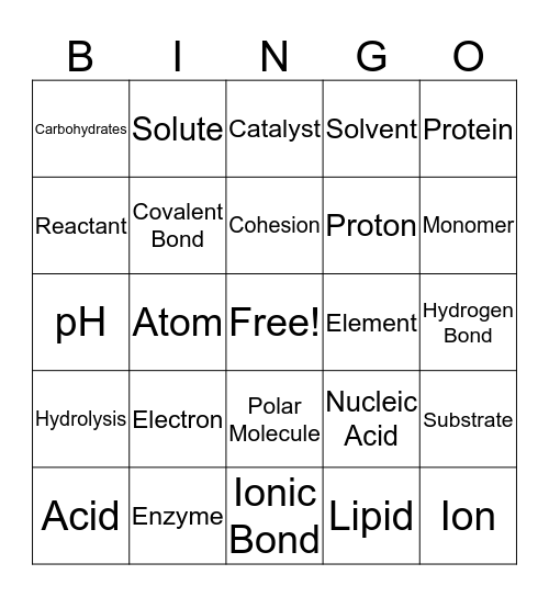 Biochemistry (BIO) Bingo Card