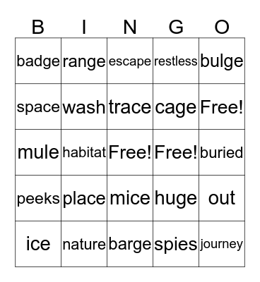 Unit 2 Week 3 Bingo Card