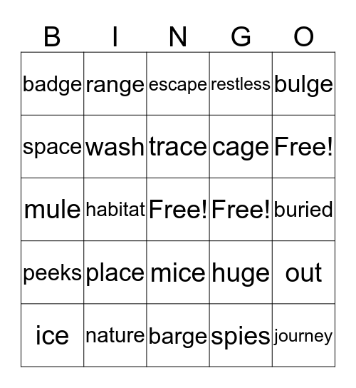 Unit 2 Week 3 Bingo Card