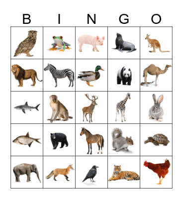 Project Connect Animal Bingo Card