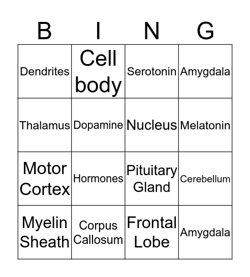 Inside the Brain Bingo Card