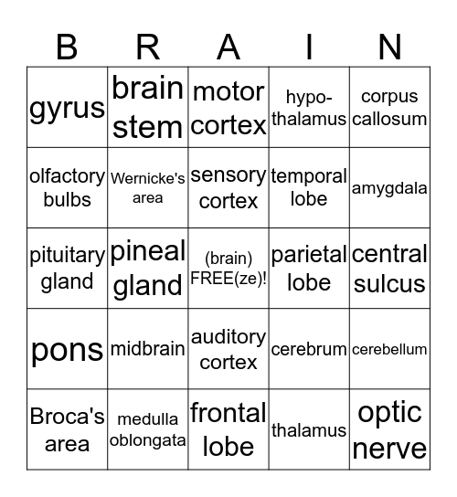 Brainiac Bingo Card