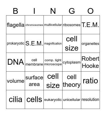 Bio Bingo Card