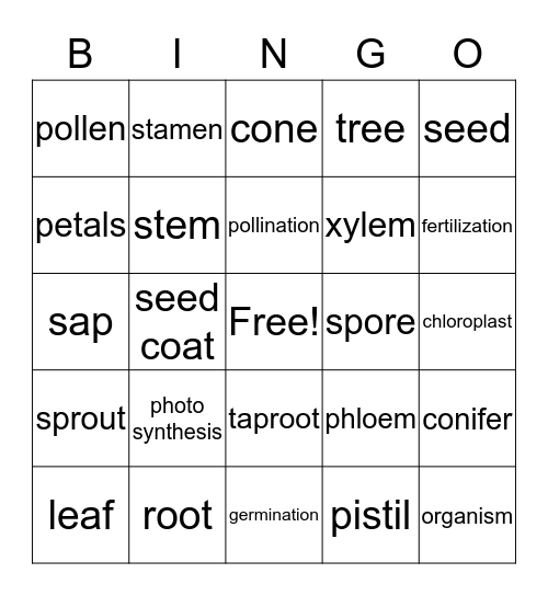 Plant Structures Bingo Card