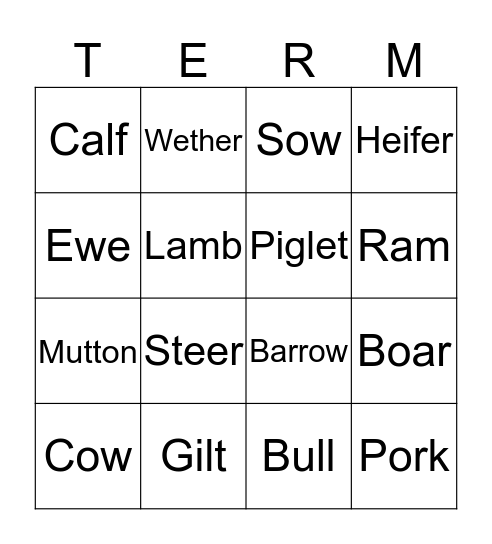 Livestock  Bingo Card