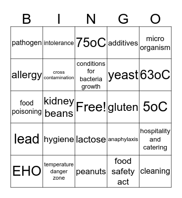 Food Related Causes of Ill Health Bingo Card