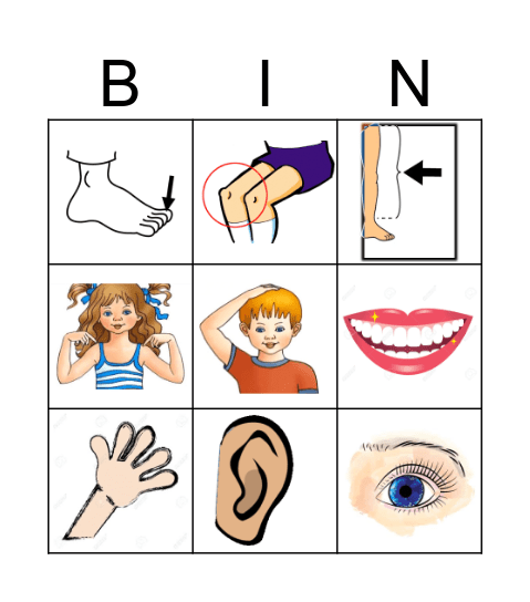 Body parts Bingo Card