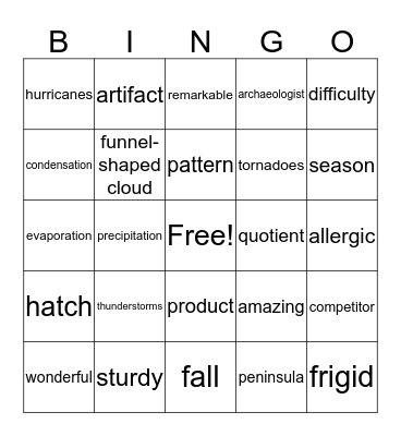 Vocabulary Review Bingo Card