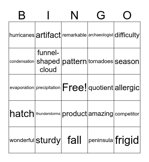 Vocabulary Review Bingo Card