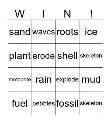 Fossils Bingo Card